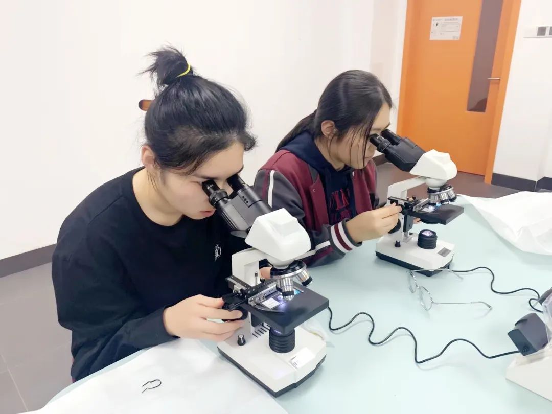 安生人物|Lyra:在这里，我离剑桥梦更近