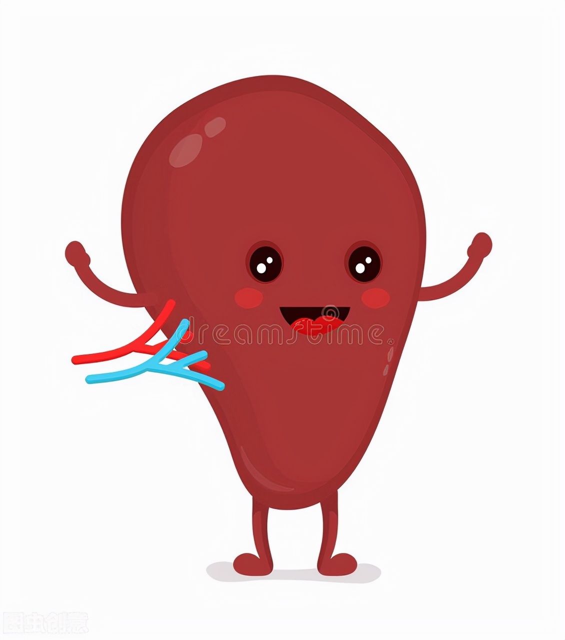 补脾胃肺气的最好方法,补脾胃益肺气的中药有哪些