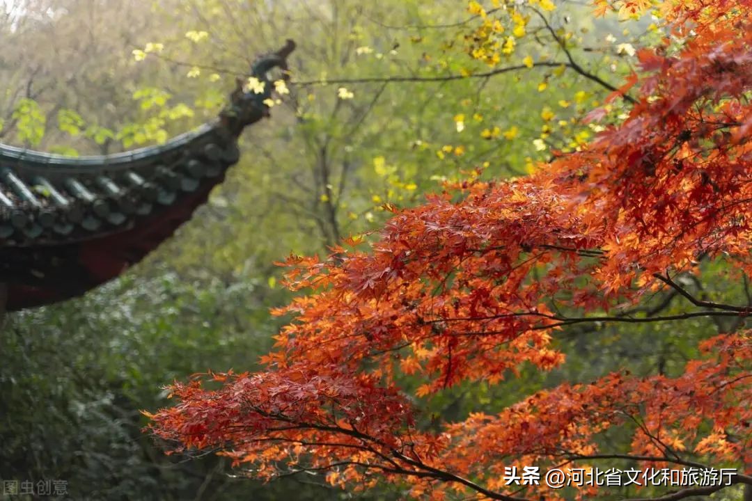 初秋秋色,9月最美风景