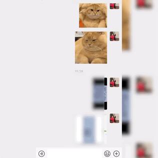 微信什么时候更新8.0.31版本,微信最新8.0.46更新了什么