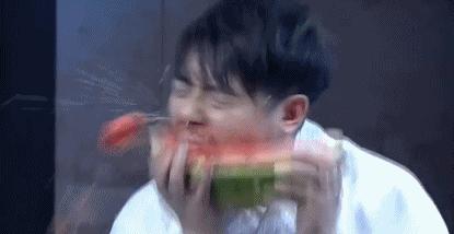 吃瓜群众表情包组成教程,一只安静的吃瓜群众表情包