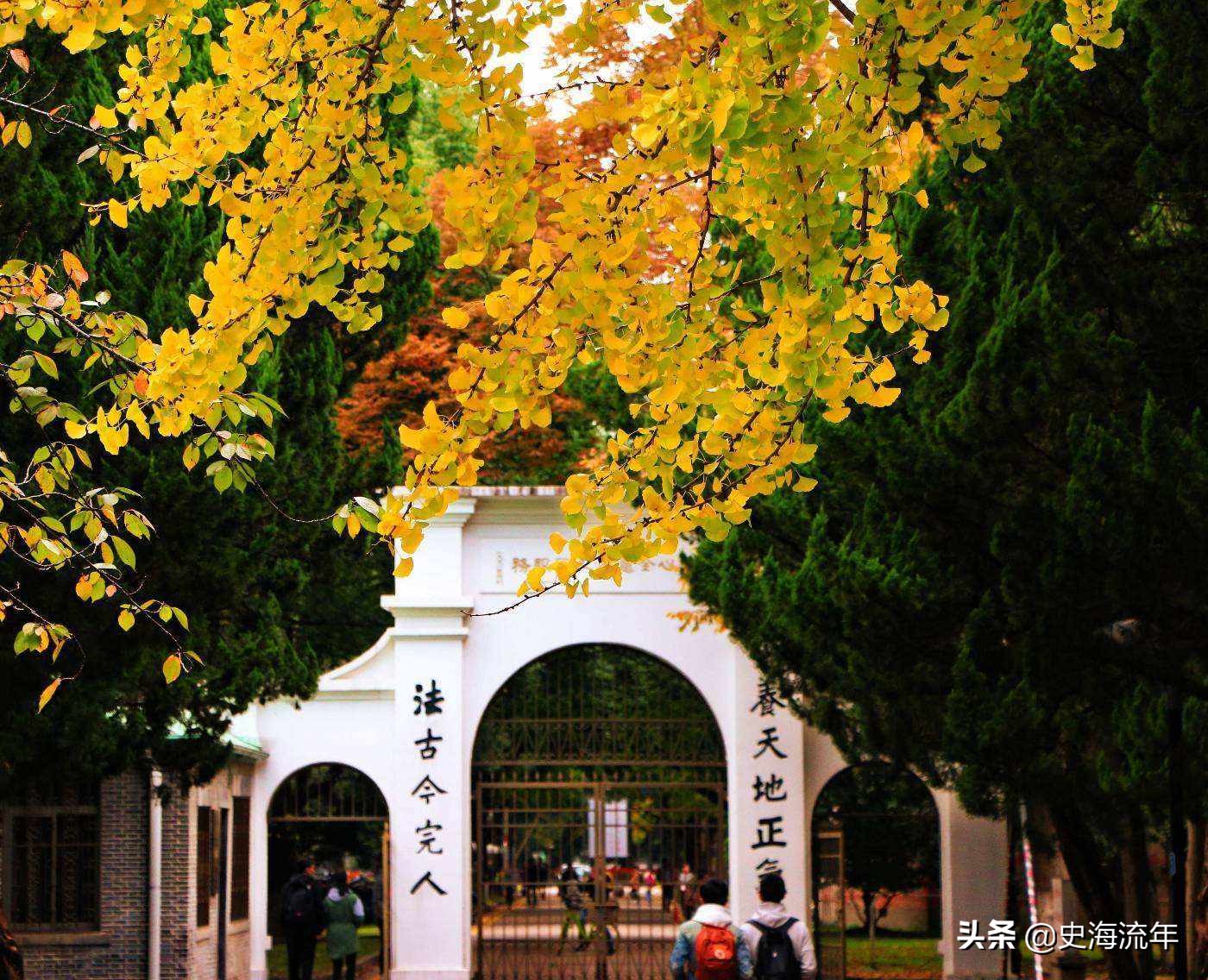 苏大郑大对比,苏大对比郑大