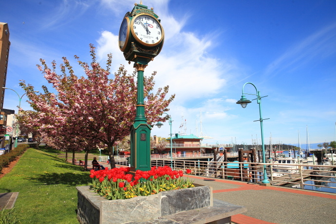 加拿大温哥华岛游记,温哥华维多利亚岛攻略