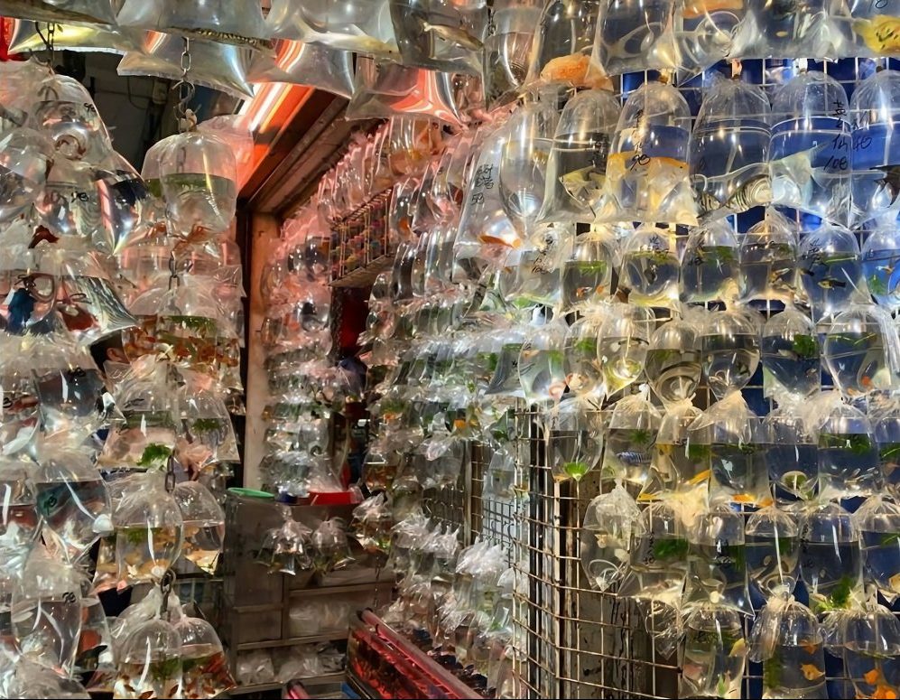 香港最受欢迎十大购物地方,香港购物必去十大地方