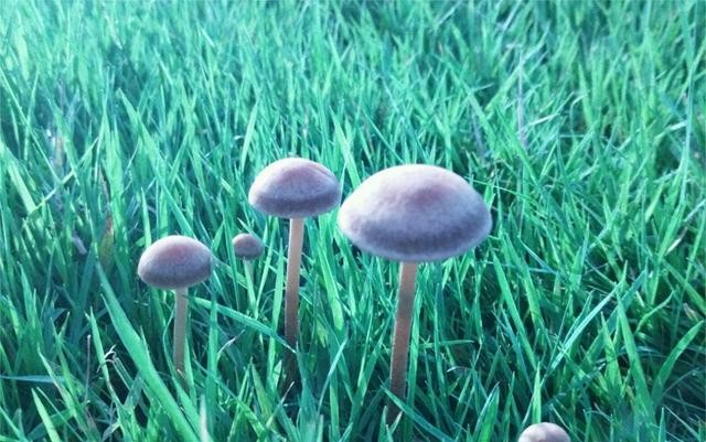 留守妇女给老公诉苦视频,留守妇女向老公诉苦