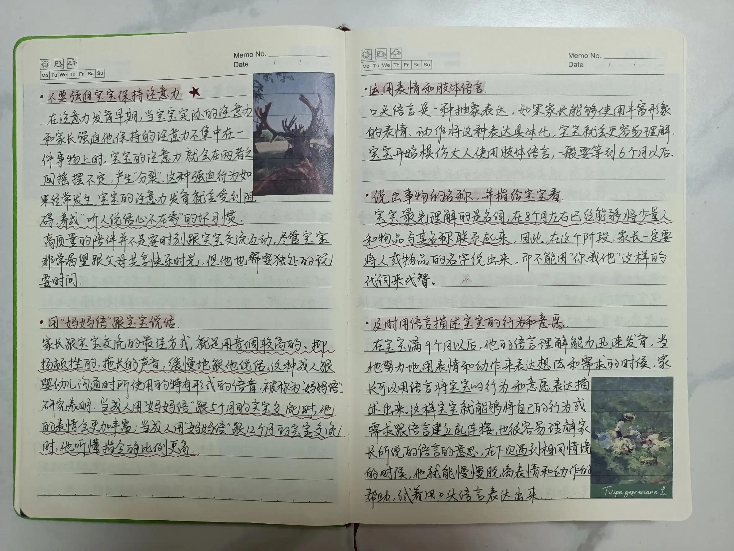 儿童读书笔记入门,孩子读书笔记如何写