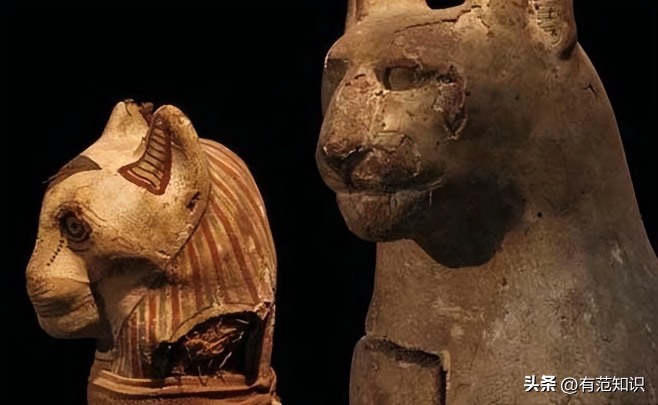 古埃及和猫的历史故事,古埃及人对猫的崇拜