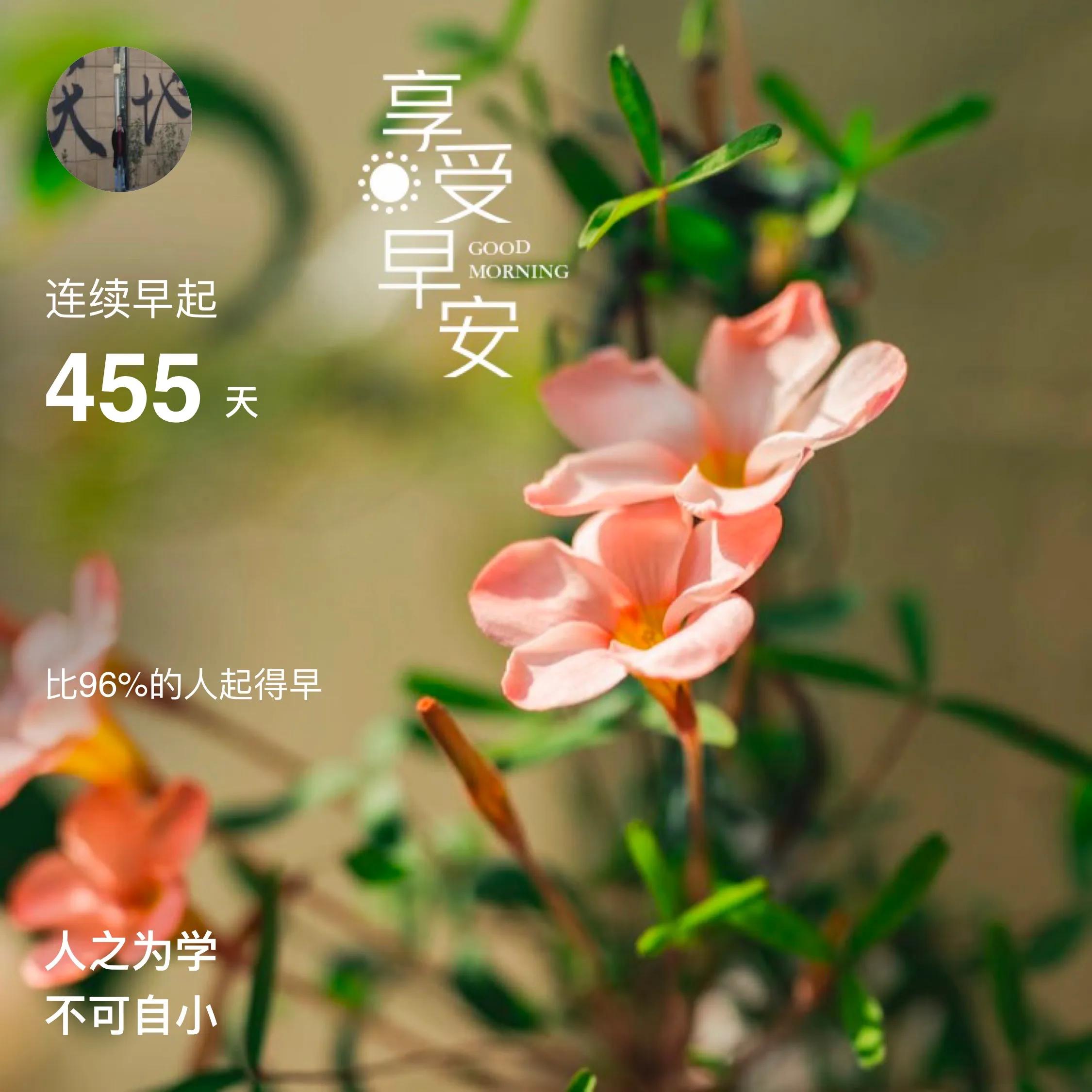 新学年第二学期No.243高三学生入校园心得体会布置完