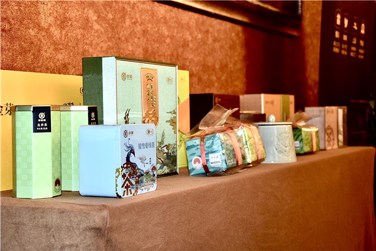 中茶招商,中茶招商沙龙