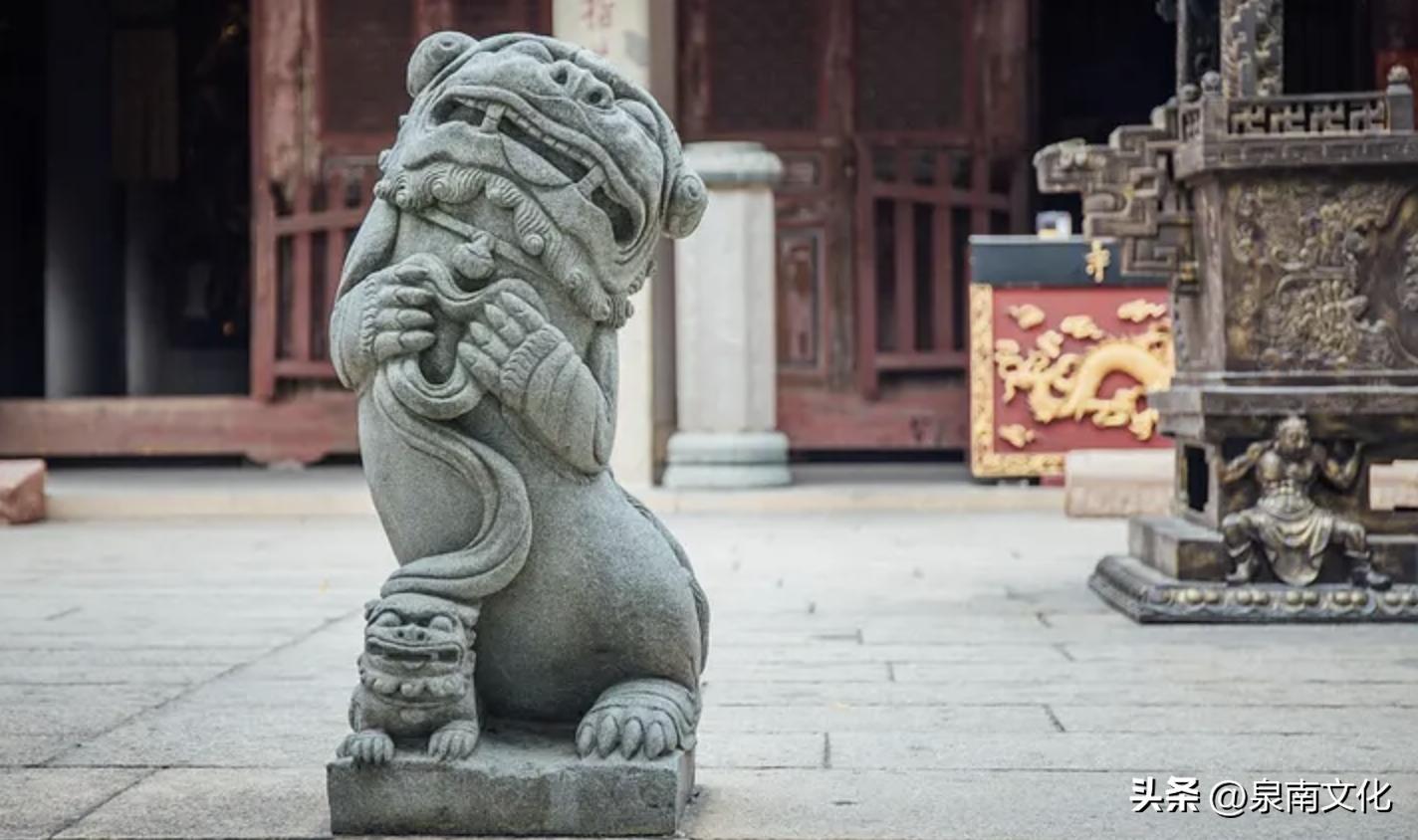 关于狮子的科普解说,讲解狮子纪录片