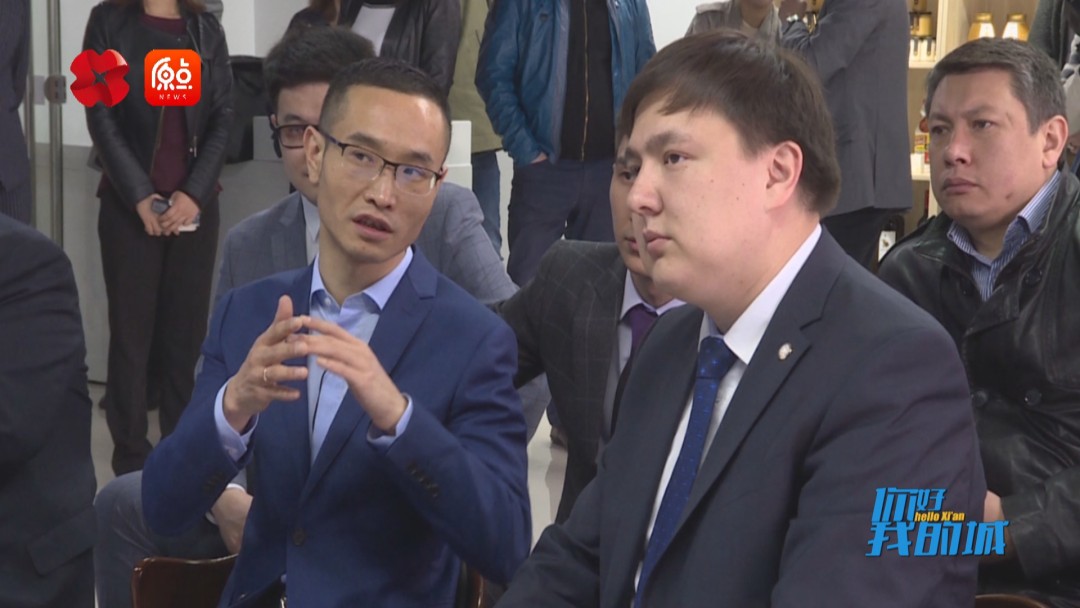 你好我的城西安完整版,你好我的城在线观看