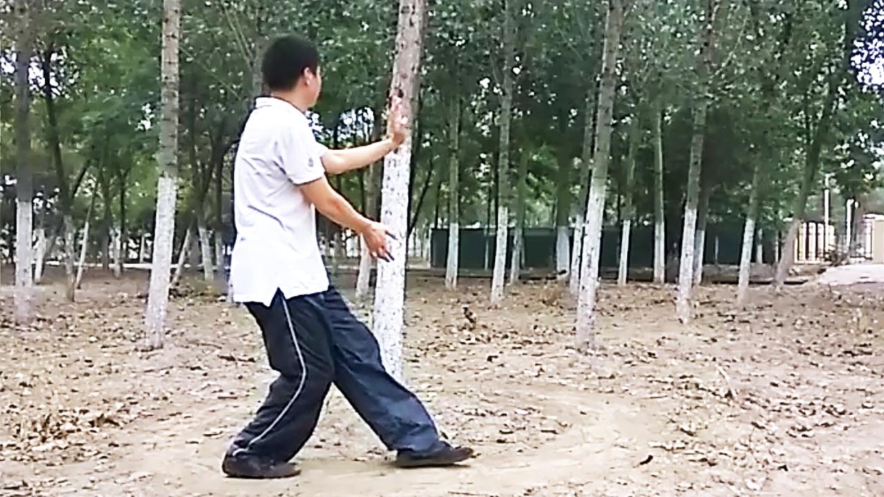 太极拳松劲的秘密,拳术讲解