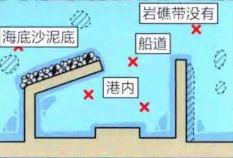 海钓鳗鱼选择夜钓是关键「日本专业海钓入门防波堤钓书籍」