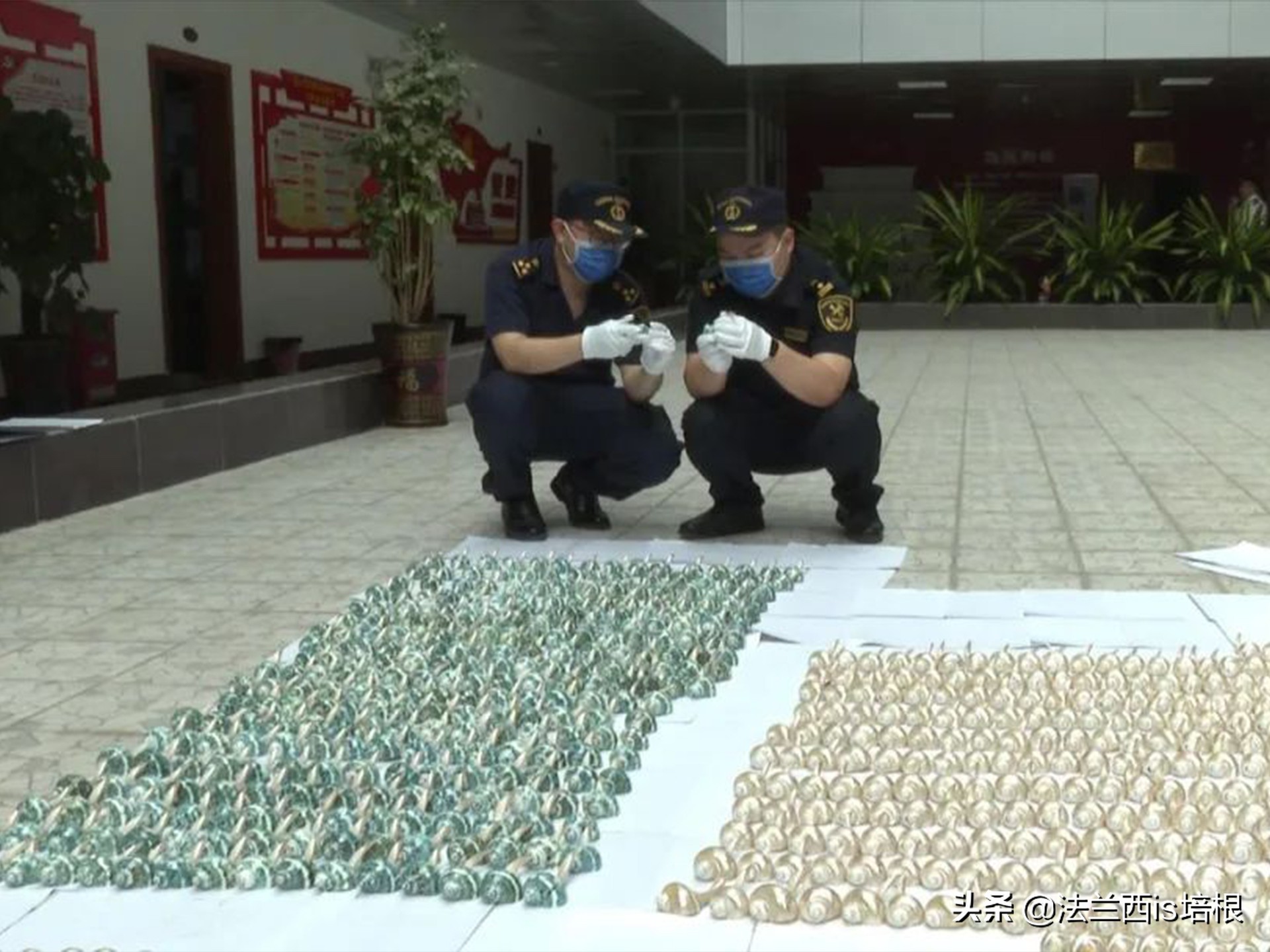 广西精致螺形勺子测评,螺形勺子有毒吗