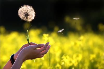 心态焦虑怎么调理,心态不好容易焦虑怎么引导