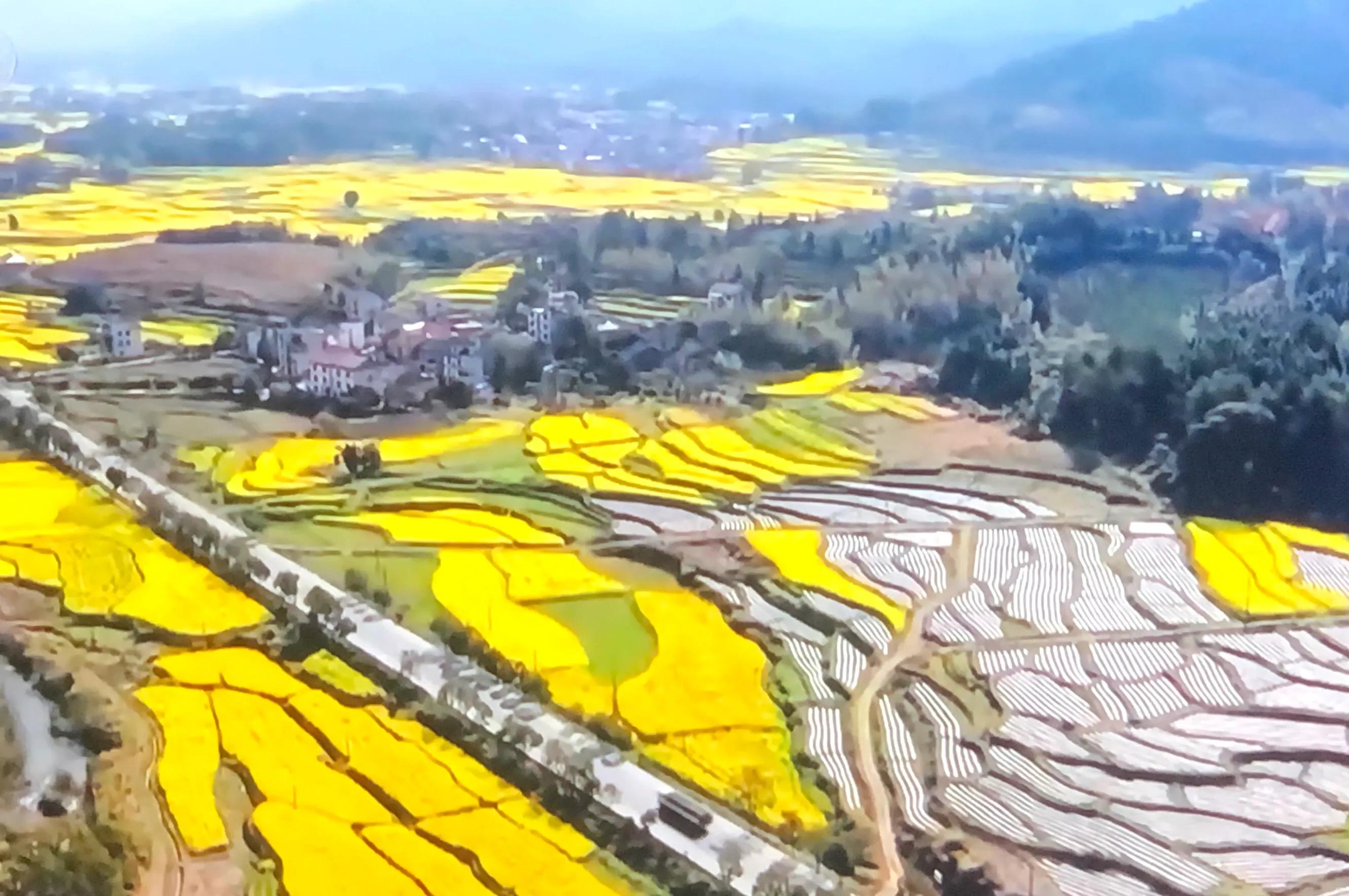 无边光景一时新原版,无边光景一时新知乎后续