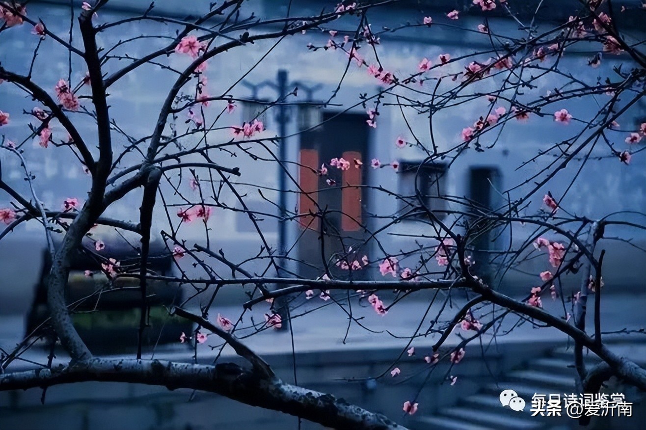 杜甫最著名的十首诗及表达的情感,杜甫最有人情味的一首诗