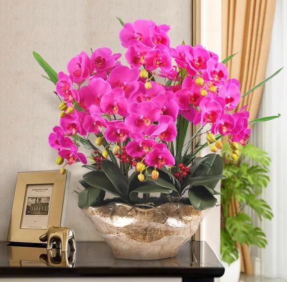 除甲醛的绿植如何摆放,屋里摆什么绿植除甲醛最快