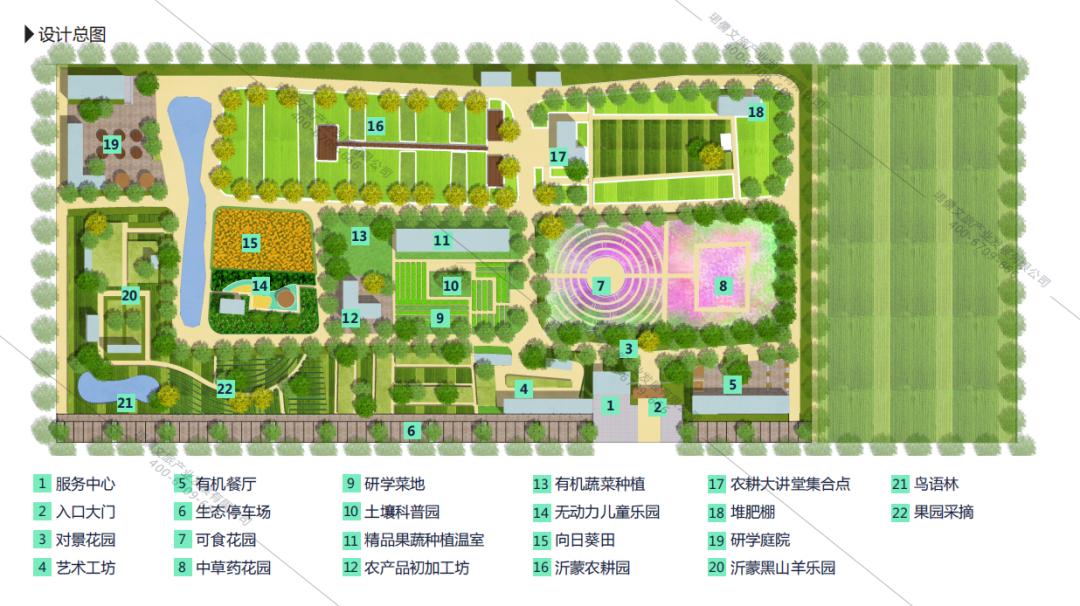 休闲农业与乡村振兴规划设计,乡村振兴农场模式