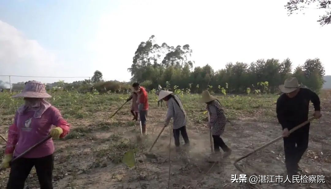 情怀、理念、路径、拼劲、执着、传承——以6个关键词总结湛江市检察院乡村振兴工作