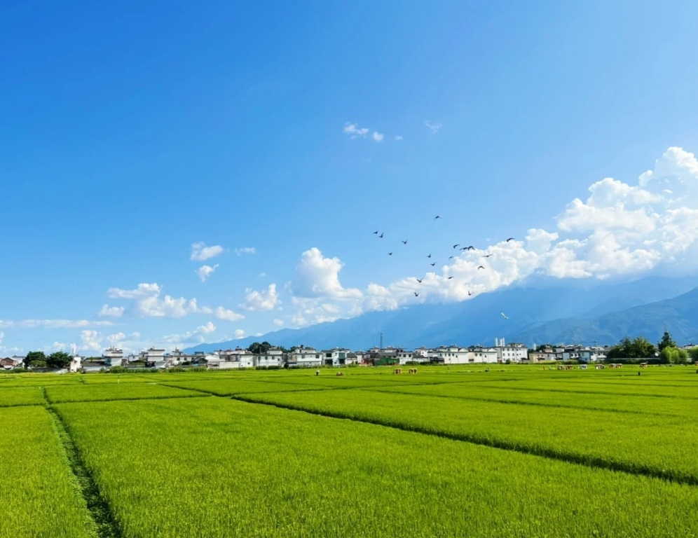 云南月租1000以内的旅居点,云南哪个古镇最适合旅居