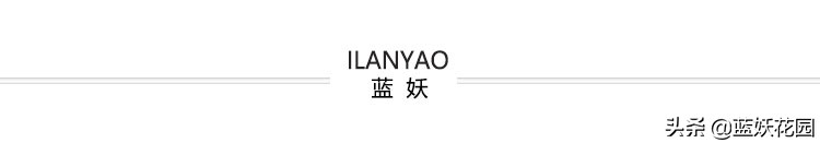 春季百合花开谢后怎么养护,冬天开败的百合花春天的养护方法