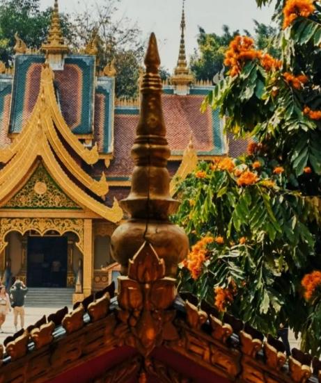 西双版纳勐泐文化旅游区讲解,西双版纳勐泐文化旅游区地图攻略