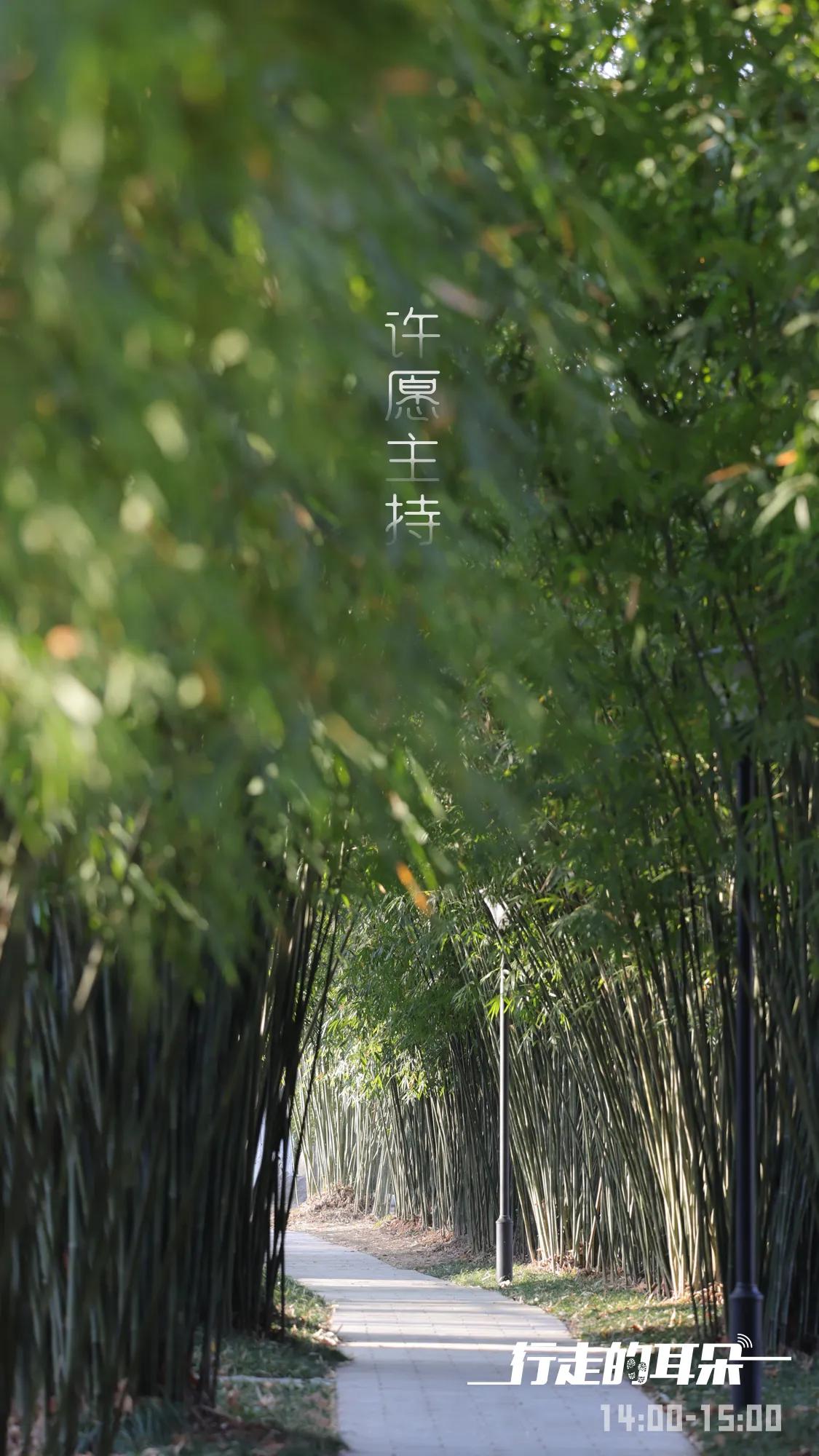 HOHA音乐节水陆同欢夜游蹦迪全新冒险岛主题趴玩嗨了