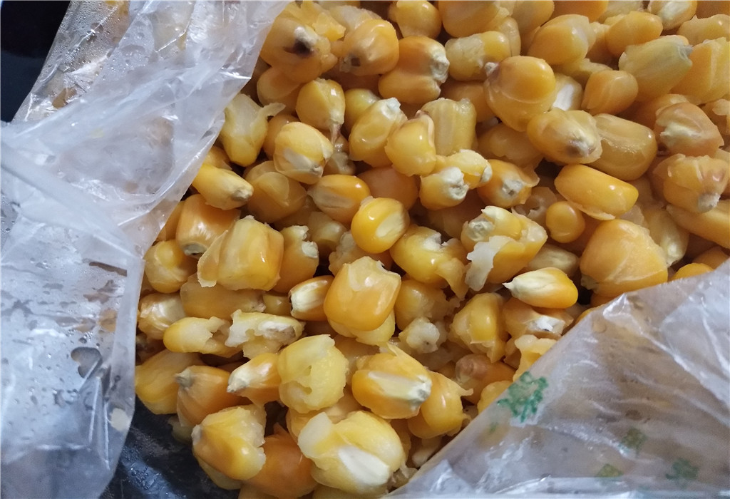 黑坑鲤鱼老玉米窝料制作方法,鲤鱼新鲜玉米窝料制作方法