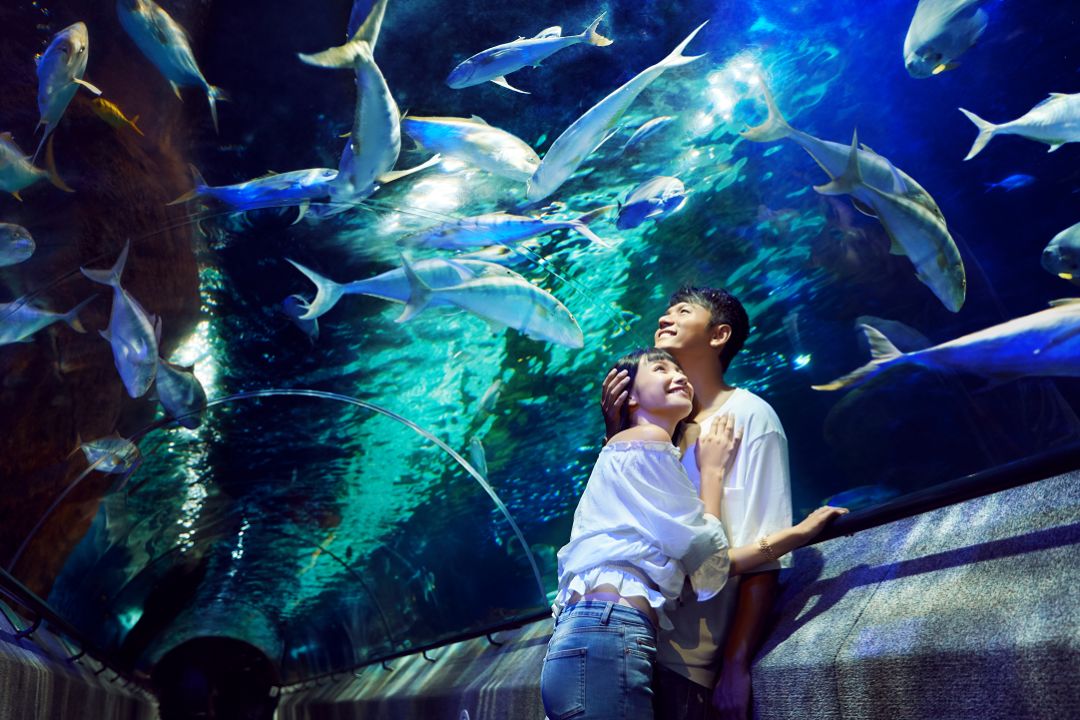 大连旅游攻略3天2夜住宿,大连旅游攻略视频