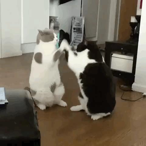 吃辣不影响长痘吧,甜食长痘还是辣食长痘