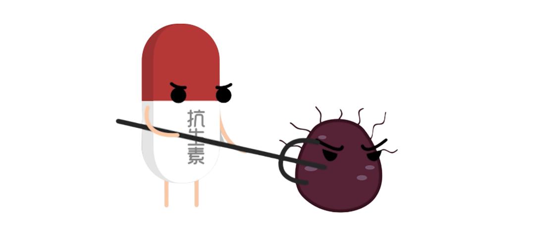 抗生素对益生菌的影响,抗生素对菌群的影响