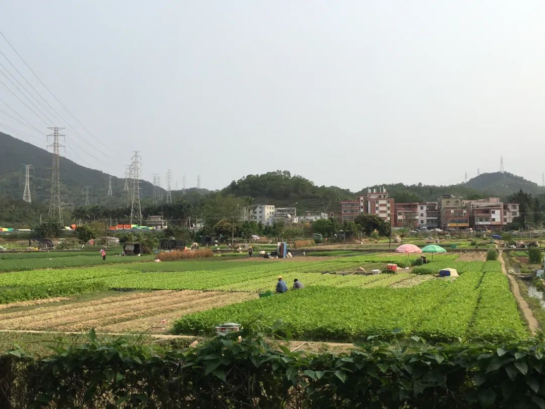 旭光车行雅迪电动车,旭光单车