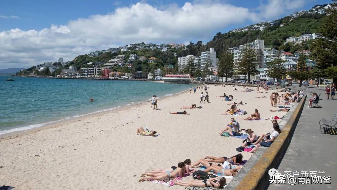 新西兰1月最新房价报告，及2023年房地产市场展望