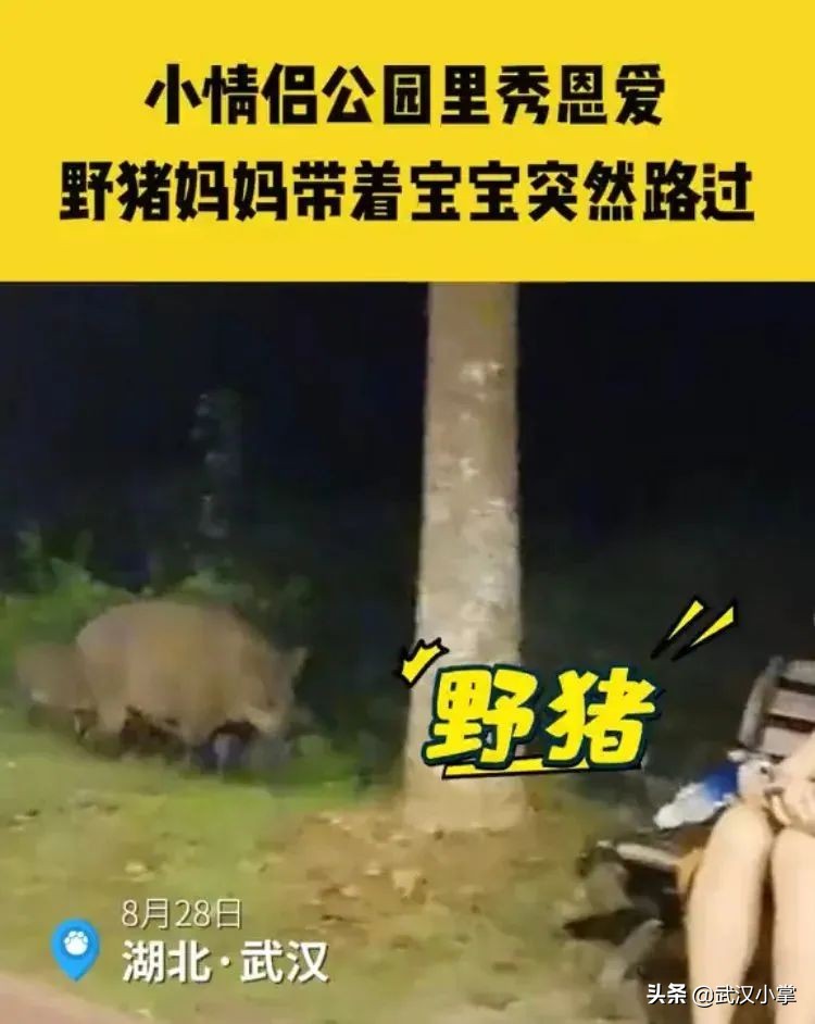 武汉必做的十件事,2017在武汉一定不可错过的10件事