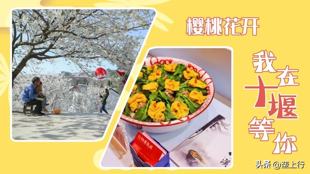 湖北春季赏花攻略十大赏花路线,叮你有一份礼物请查收音频