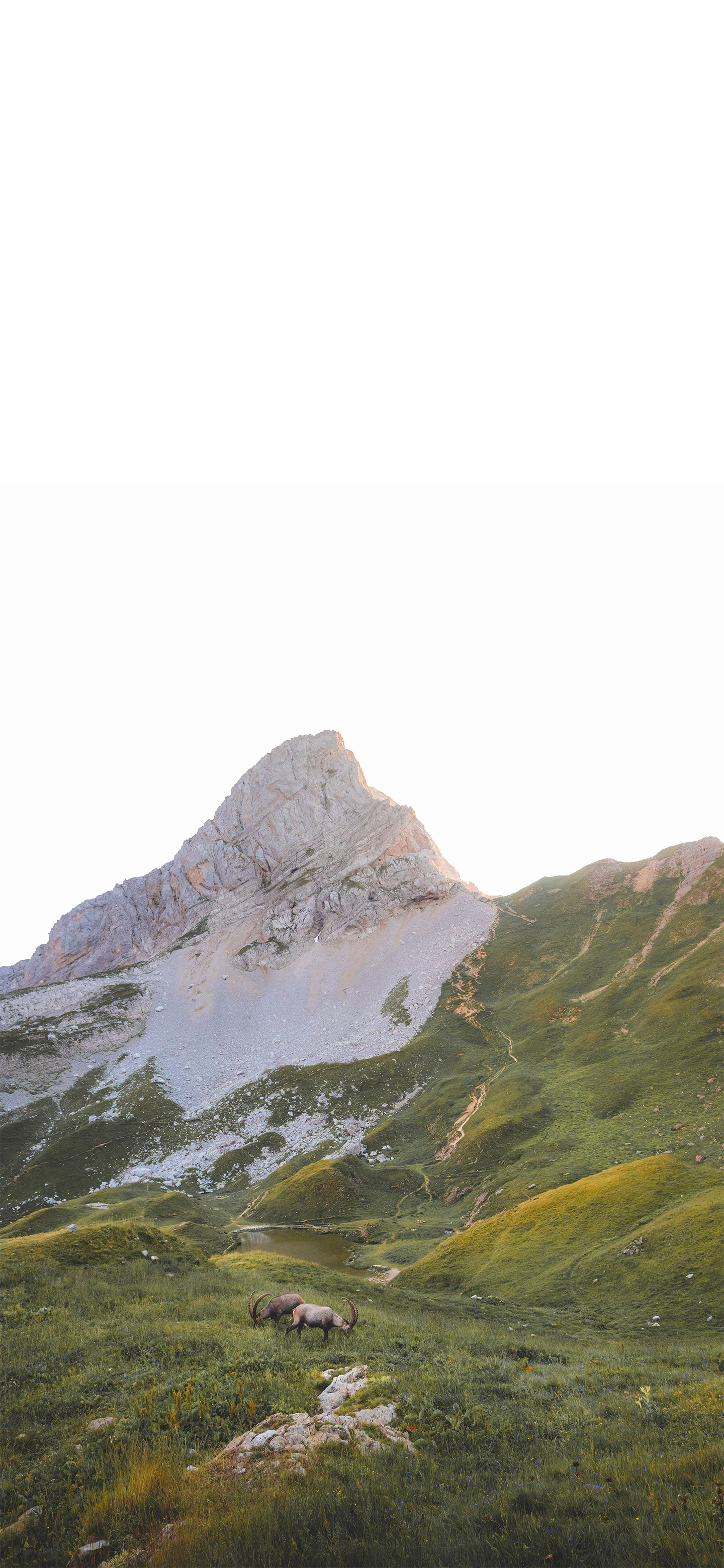 4k超清手机壁纸3120,498超清手机壁纸