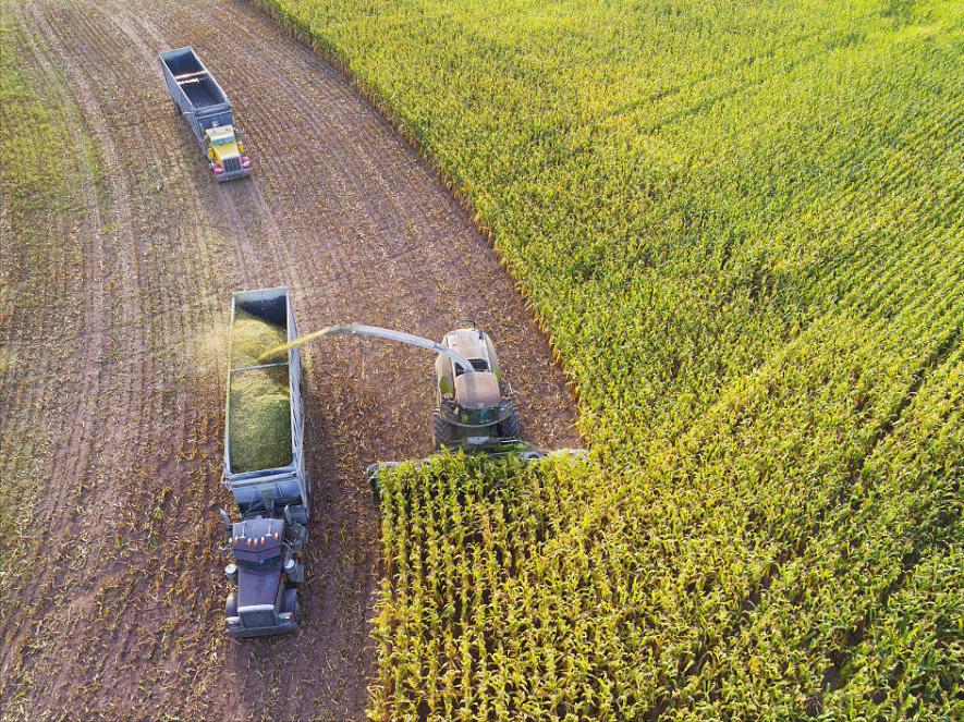 生态农业发展的现状及前景,生态农业发展的现状及前景例子