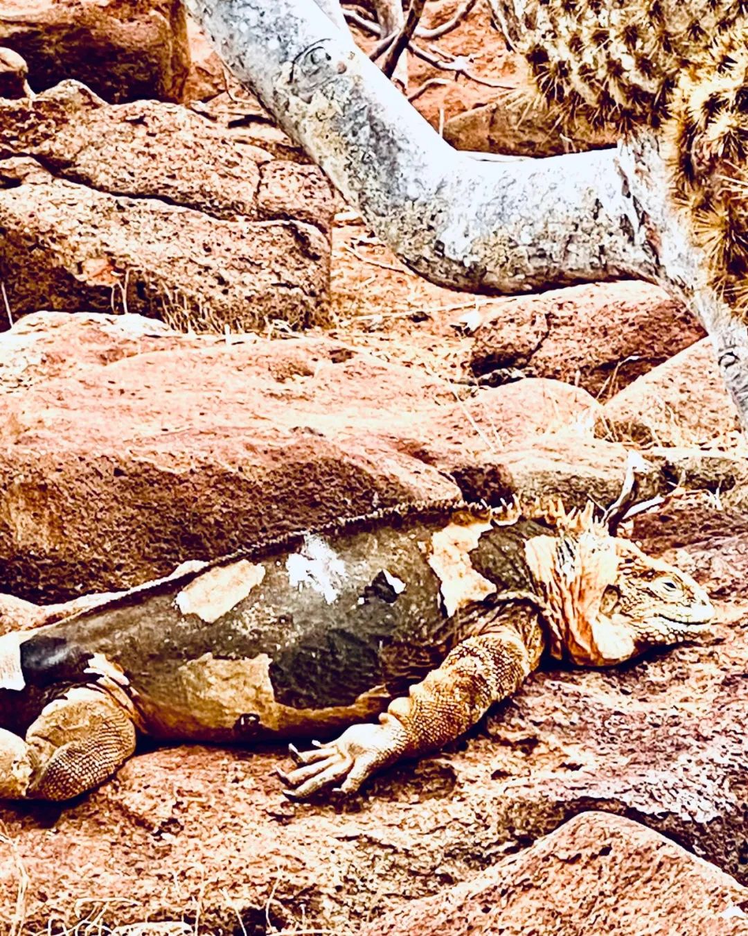 去神秘小岛探险,去神秘岛探险视频