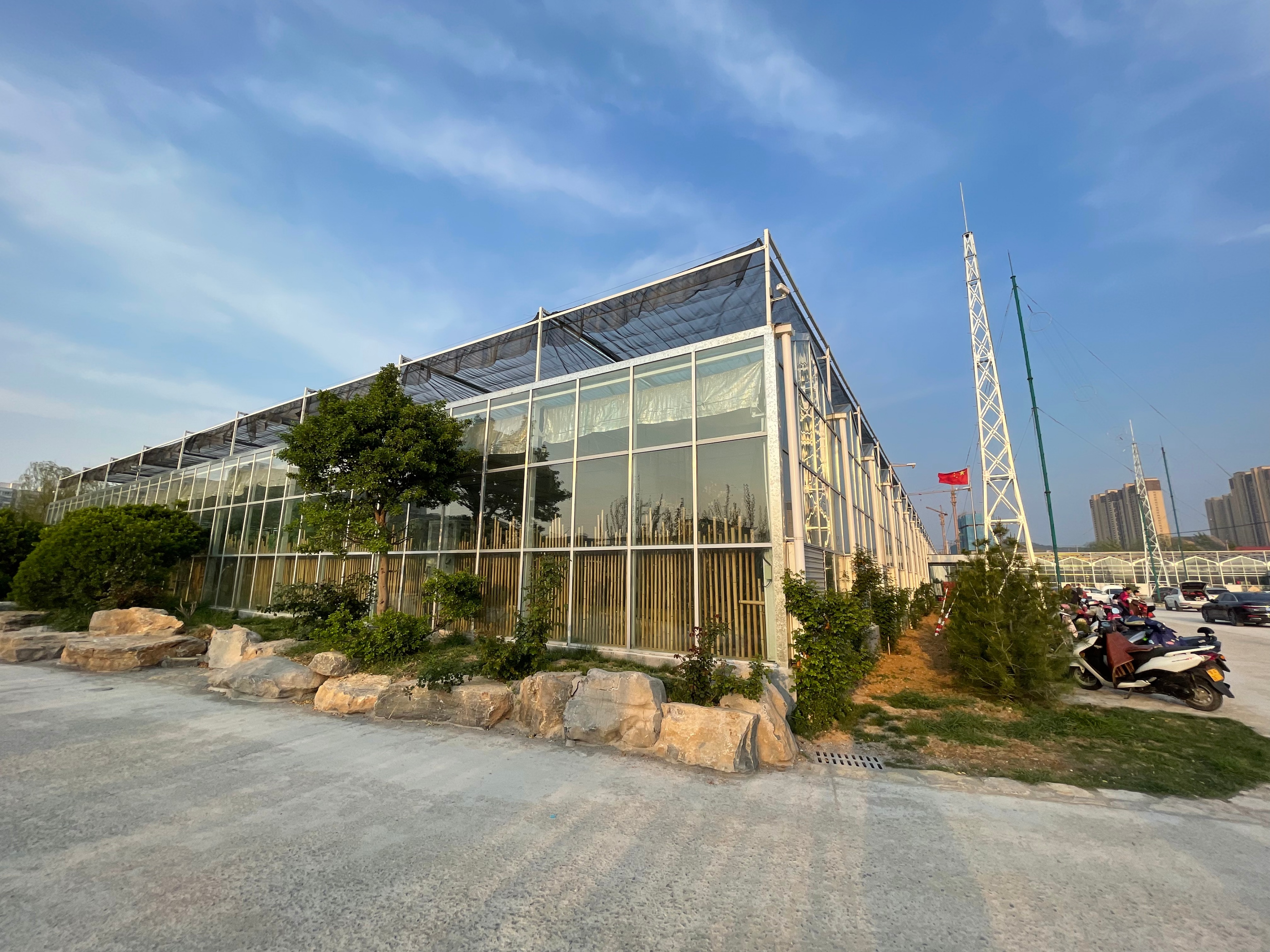 赏花、购花、娱乐，市民自家的小菜园，玉合赢花园中心挺棒