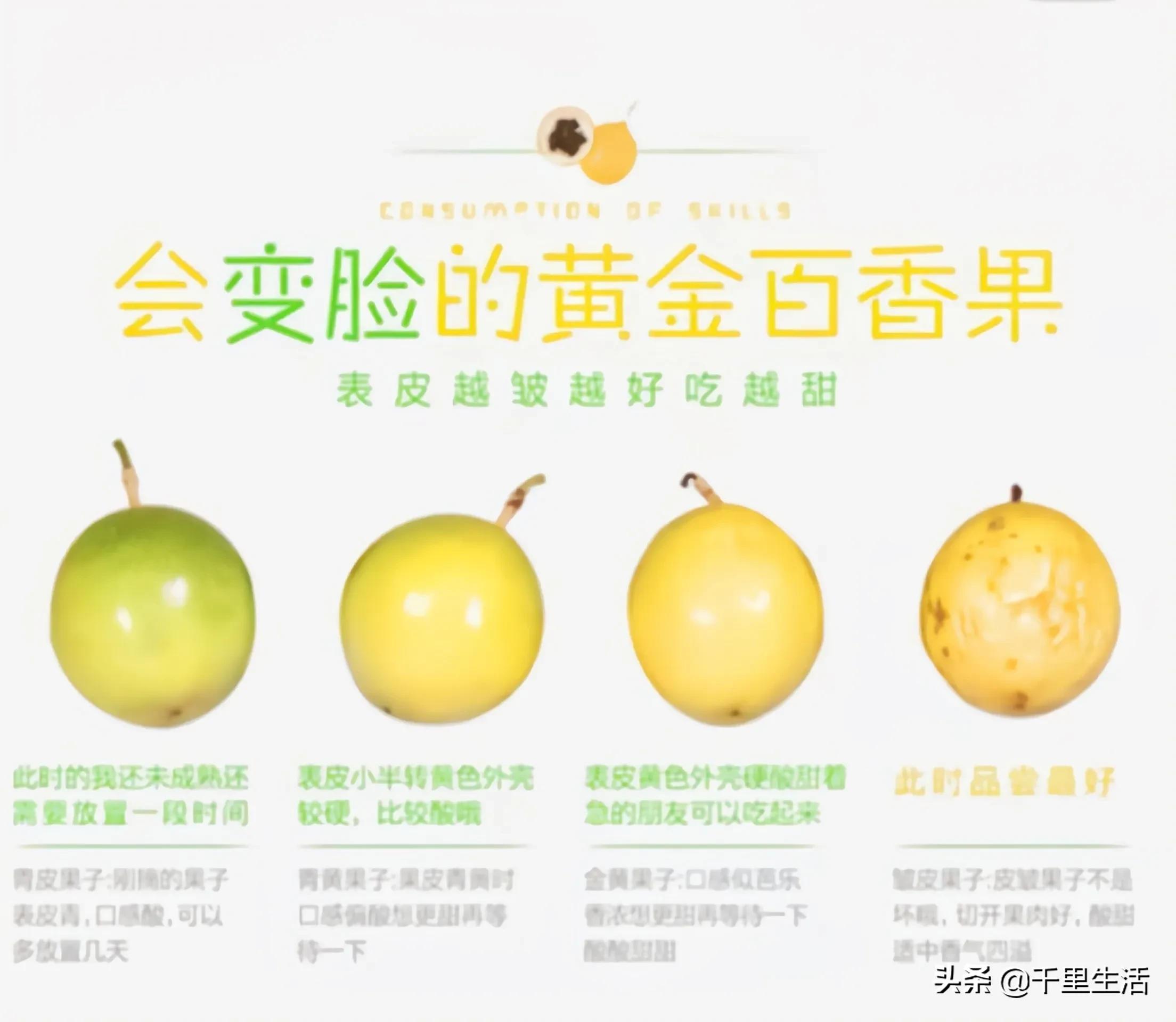 黄金百香果，“钦蜜9号”，百香果中的“爱马仕”，至爱非你莫属