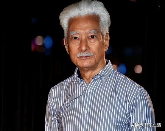 何家劲版中华英雄1-42集电视剧,何家劲版中华英雄续集