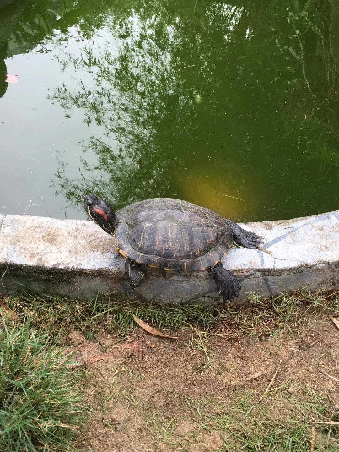 旭光电动车行,旭光车行向阳路