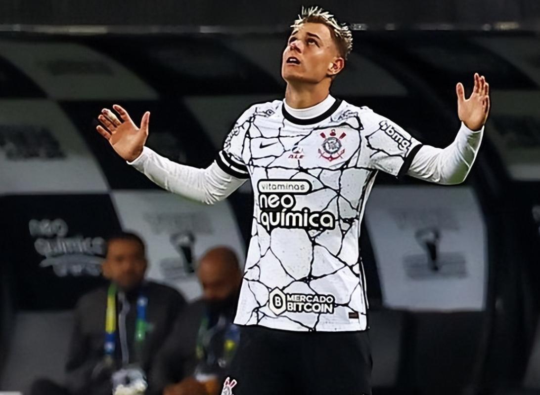 桑托斯对巴西甲,巴西甲桑托斯