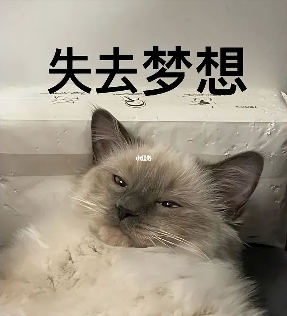 20万开店日营业额仅79元创业失败,20万投资实体店生意惨淡