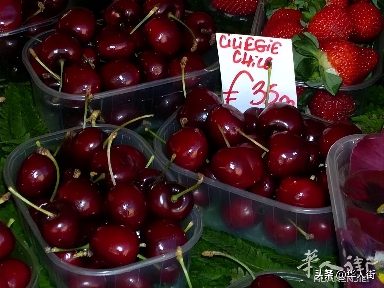 意大利超市樱桃的价格是供应商的10倍！引发农民极度不满