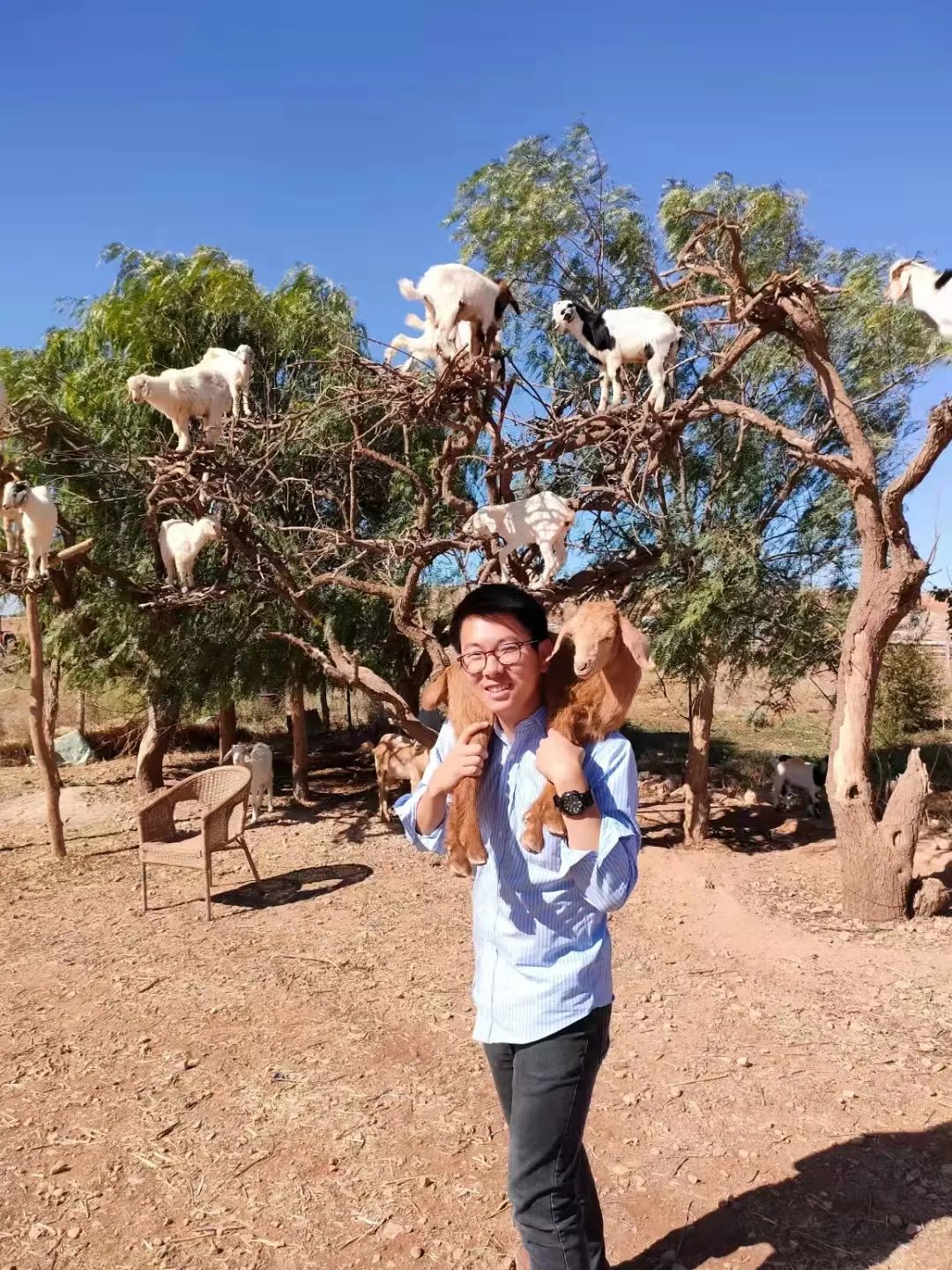 我在摩洛哥创业，娶当地研究生姑娘做老婆，收入是国内几十倍