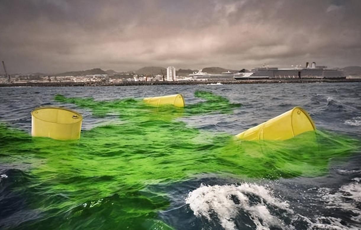 日本核辐射海水排放事件后续处理,日本核污水排海中毒事件