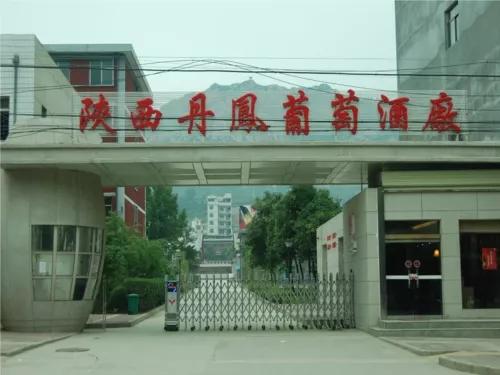 陕西丹凤葡萄酒品牌概念,陕西丹凤葡萄酒厂西安销售点