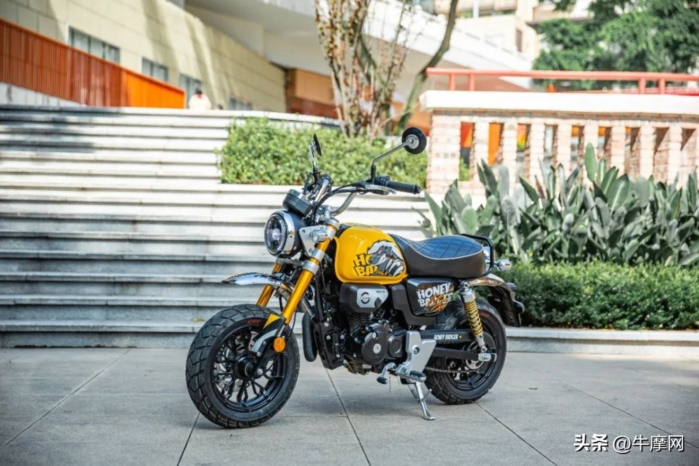 银钢150和蜜獾怎么选,平头哥蜜獾的战斗力有多强